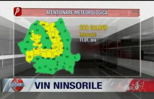 Vin ninsorile