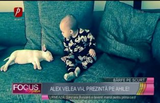 Alex Velea vi-l prezintă pe Ahile!