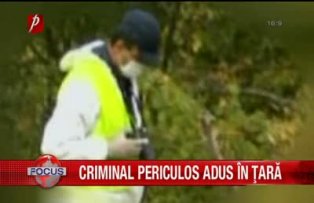 Criminal periculos adus in tara