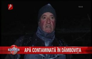 Apa contaminata in Dambovita
