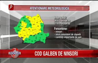 Cod galben de ninsori