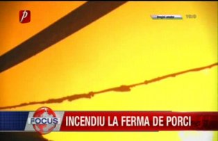 Incendiu la ferma de porci