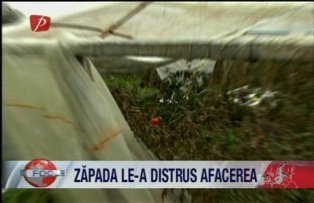 Zapada le-a distrus afacerea
