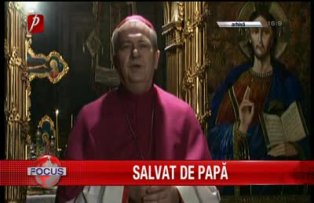 Salvat de papa