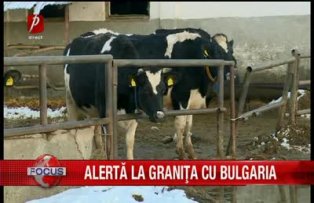 Alertă la graniţa cu Bulgaria