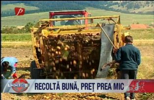 Recolta buna pret mic