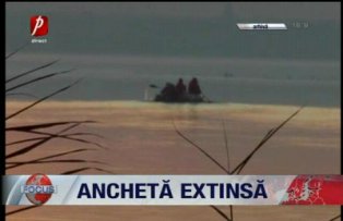 Ancheta extinsa