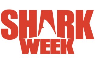 Din 25 august, Shark Week la Prima TV!