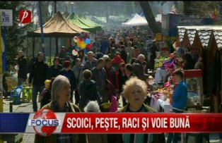 Scoici, peste raci si voie buna