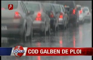 Cod galben de ploi