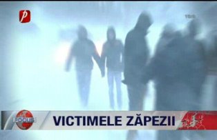 Victimile zapezii