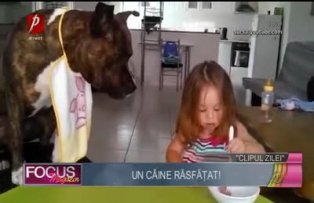 Clipul zilei: un câine răsfăţat!