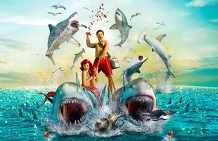 Premieră absolută, Shark Week şi la Prima TV!