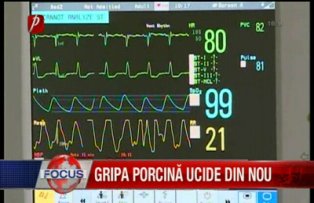 Gripa porcina ucide din nou
