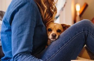 Ce animal de companie ti se potriveste, in functie de zodie