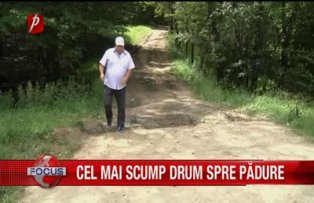 Cel mai scump drum spre padure