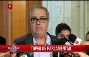 Tupeu de parlamentar