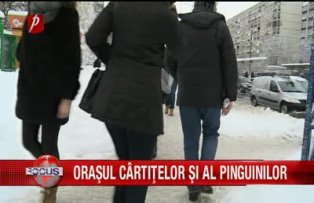 Orasul cartitelor si al pinguinilor