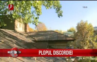 Plopul discordiei