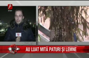 Au luat mita paturi si lemne