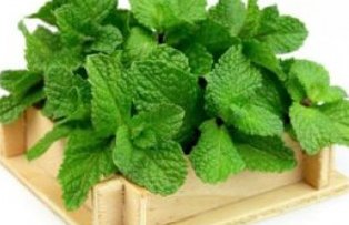 6 alimente minune care te scapa de greturile din sarcina