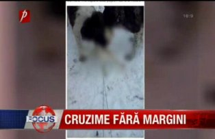 Cruzime fără margini