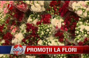 Promotii la flori