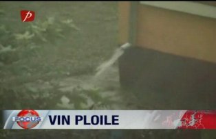 Vin ploile
