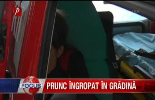Prunc îngropat în grădină