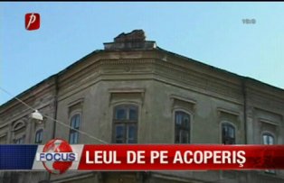 Leul de pe acoperiş