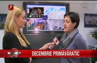 Decembrie primavaratic