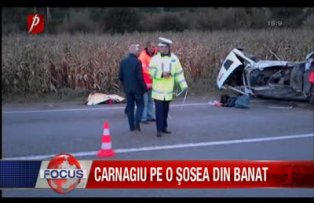 Carnagiu pe o şosea din Banat