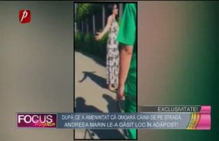 Exclusivitate! După ce a ameninţat că omoară câinii de pe stradă, Andreea Marin le-a găsit loc în adăpost!