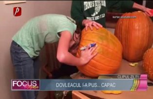 Clipul zilei: Dovleacul i-a pus... capac