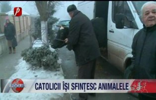 Catolicii isi sfintesc animalele