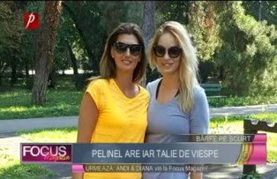 Pelinel are iar talie de viespe