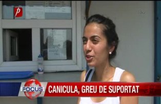 Canicula greu de suportat