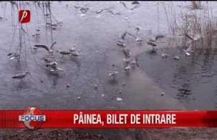 Pâinea, bilet de intrare