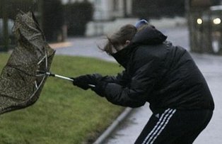 Cod galben de vant. Vezi zonele vizate