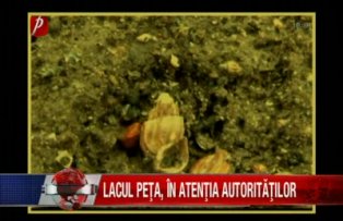Lacul Peţa, in atentia autoritatilor