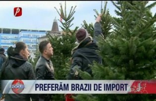 Preferam brazi de import