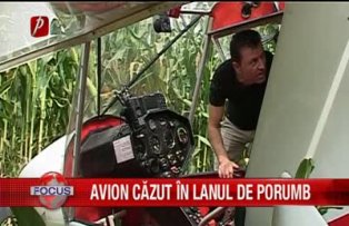 Avion cazut in lanul de porumb