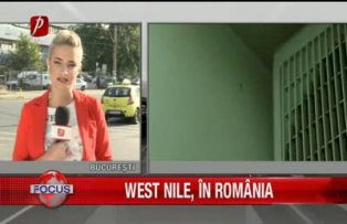 West Nile, in Romania