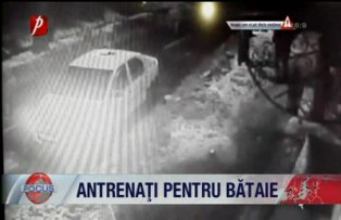 Antrenati pentru bataie