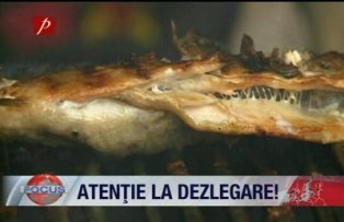 Atentie la dezlegare
