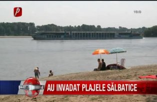 Au invadat plajele salbatice