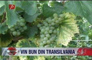Vin bun din Transilvania