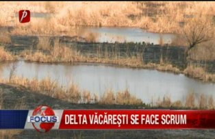 Delta Vacaresti se face scrum