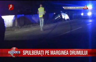 Spulberati pe marginea drumului