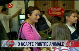 O noapte printre animale